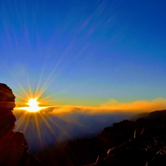 ๐Hi! I'm Denise Michelle. Welcome to My Closet๐ - Picture 3 of 13